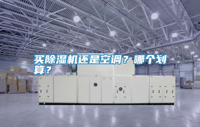 買(mǎi)除濕機還是空調？哪個(gè)劃算？