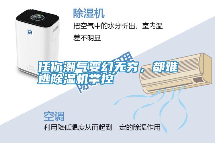 任你潮氣變幻無(wú)窮，都難逃除濕機掌控