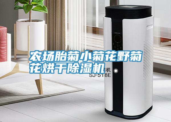 農場(chǎng)胎菊小菊花野菊花烘干除濕機