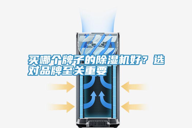 買(mǎi)哪個(gè)牌子的除濕機好？選對品牌至關(guān)重要