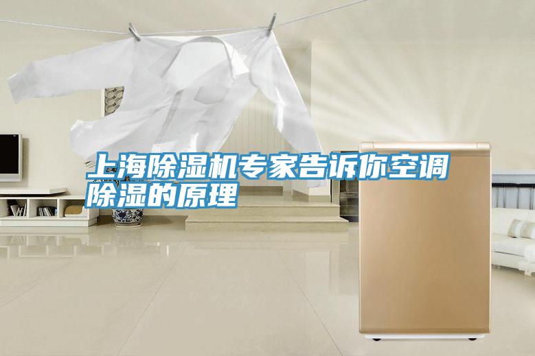 上海除濕機專(zhuān)家告訴你空調除濕的原理