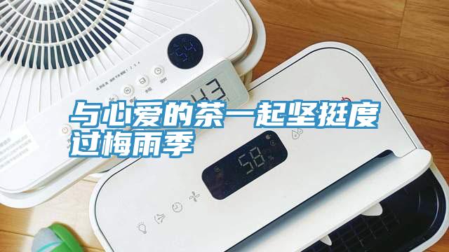 與心愛(ài)的茶一起堅挺度過(guò)梅雨季