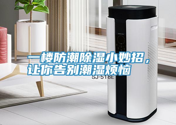 一樓防潮除濕小妙招，讓你告別潮濕煩惱