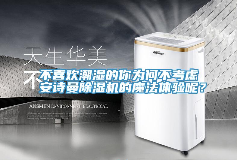 不喜歡潮濕的你為何不考慮安詩(shī)曼除濕機的魔法體驗呢？
