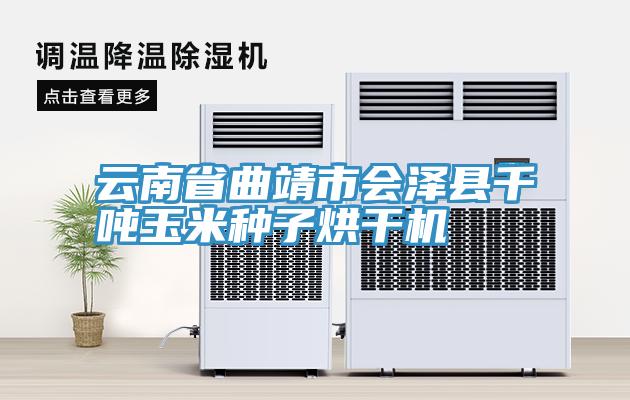 云南省曲靖市會(huì )澤縣千噸玉米種子烘干機