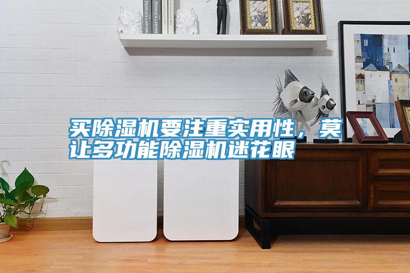 買(mǎi)除濕機要注重實(shí)用性，莫讓多功能除濕機迷花眼