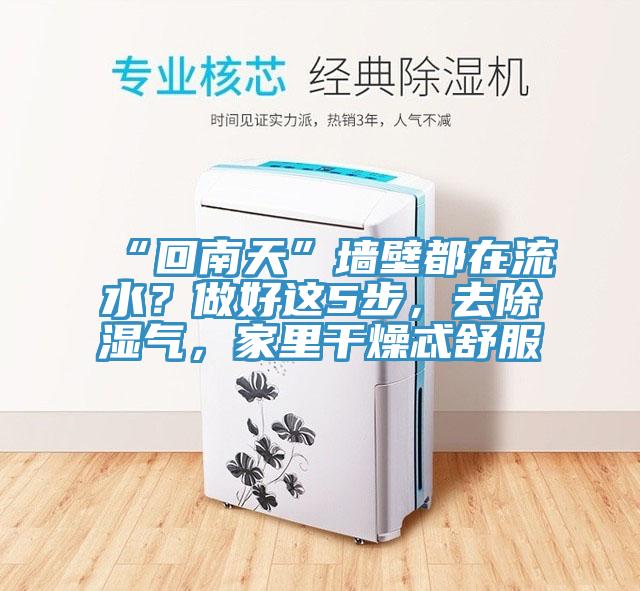 “回南天”墻壁都在流水？做好這5步，去除濕氣，家里干燥忒舒服