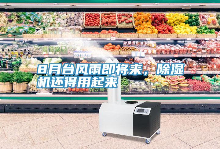 8月臺風(fēng)雨即將來(lái)，除濕機還得用起來(lái)