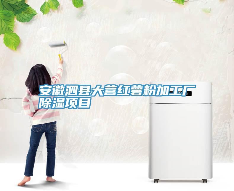 安徽泗縣大營(yíng)紅薯粉加工廠(chǎng)除濕項目