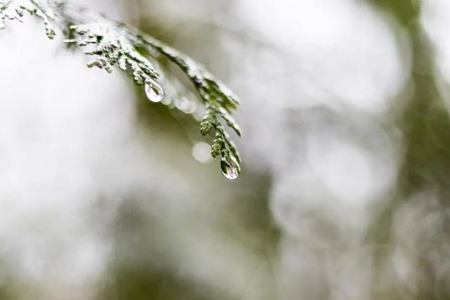 空氣濕度大帶來(lái)的危害有哪些，你知道嗎？