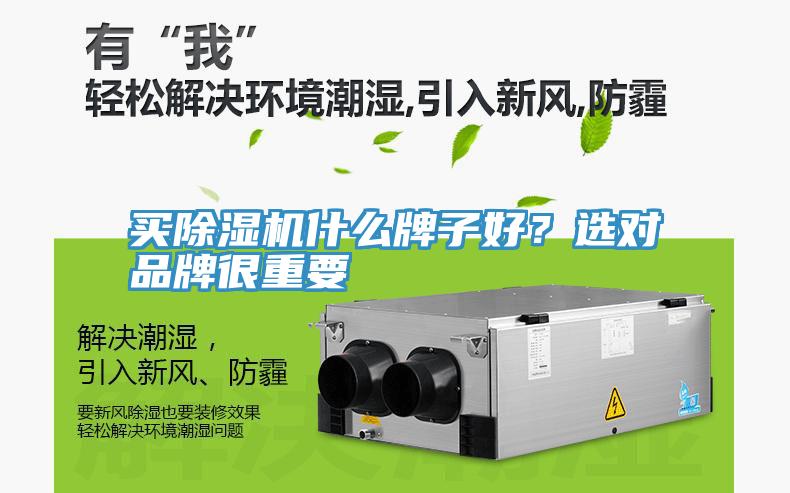 買(mǎi)除濕機什么牌子好？選對品牌很重要
