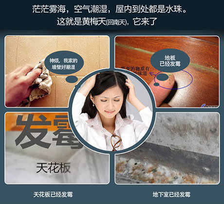 家庭別墅的地下室、衛生間、儲物室等該如何除濕？
