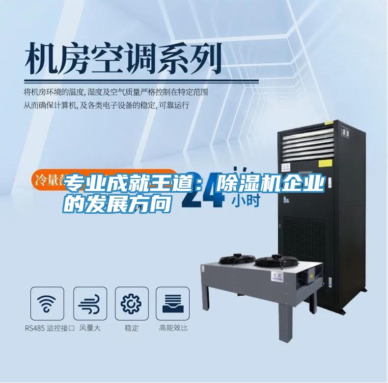 專(zhuān)業(yè)成就王道：除濕機企業(yè)的發(fā)展方向