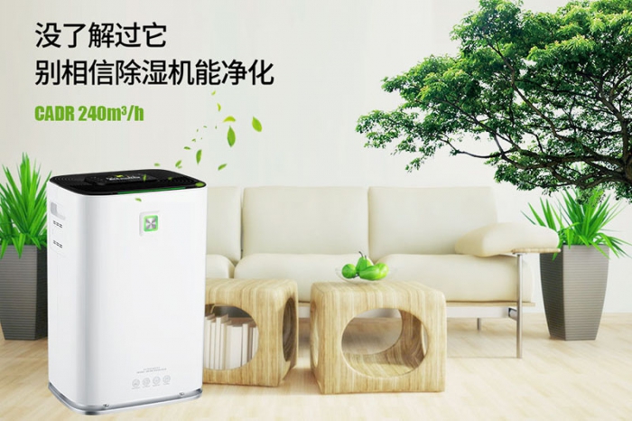 一到回南天狗狗就感冒+皮膚病，怎么辦？