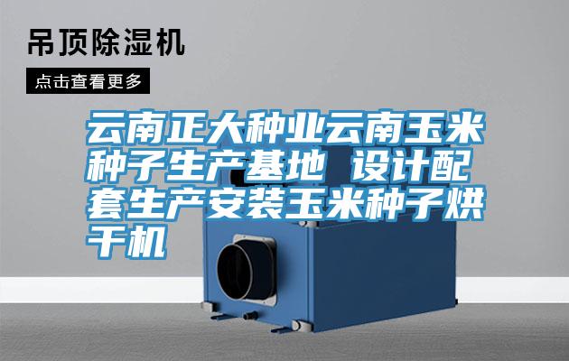 云南正大種業(yè)云南玉米種子生產(chǎn)基地 設計配套生產(chǎn)安裝玉米種子烘干機