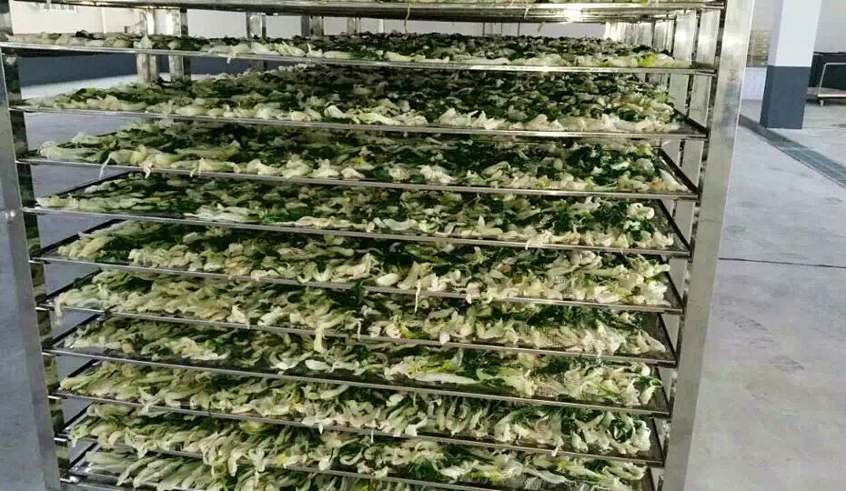 菜干需求一直都很大，蔬菜烘干機很有市場(chǎng)