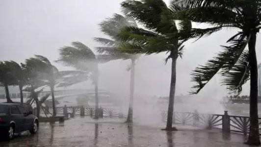 8月臺風(fēng)雨即將來(lái)，除濕機還得用起來(lái)