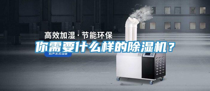 你需要什么樣的除濕機？