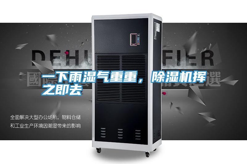 一下雨濕氣重重，除濕機揮之即去