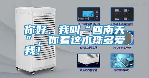 你好，我叫“回南天”，你看這水珠多愛(ài)我！