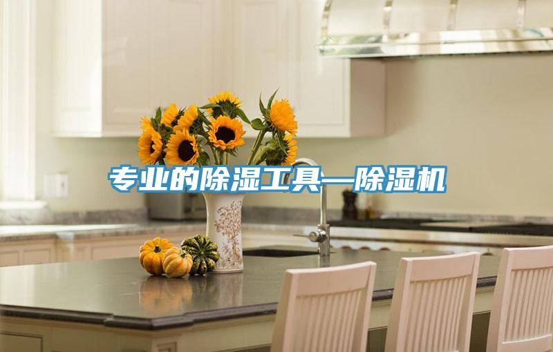 專(zhuān)業(yè)的除濕工具—除濕機