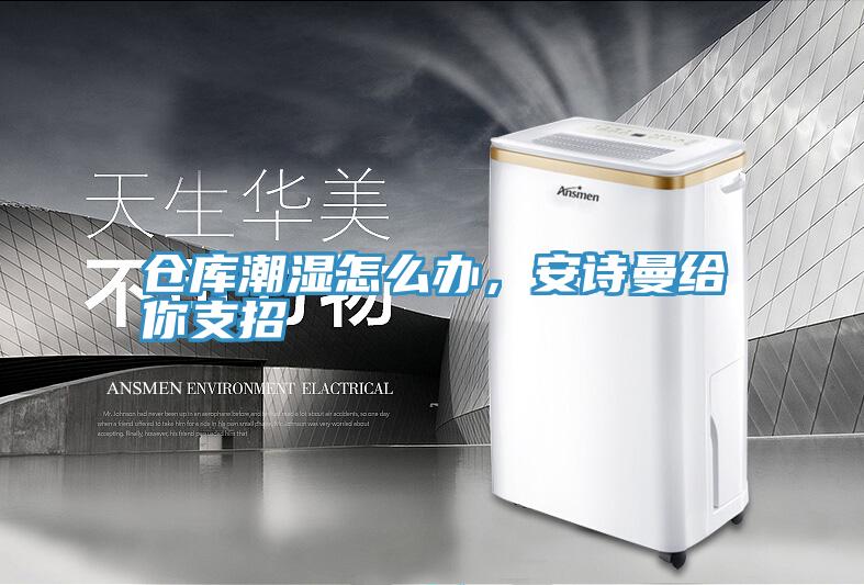 倉庫潮濕怎么辦，安詩(shī)曼給你支招