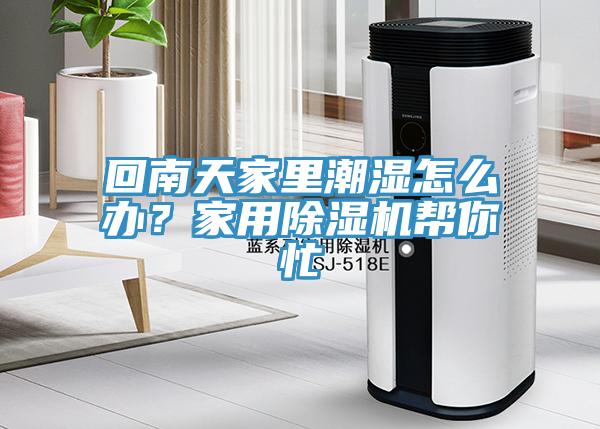 回南天家里潮濕怎么辦？家用除濕機幫你忙
