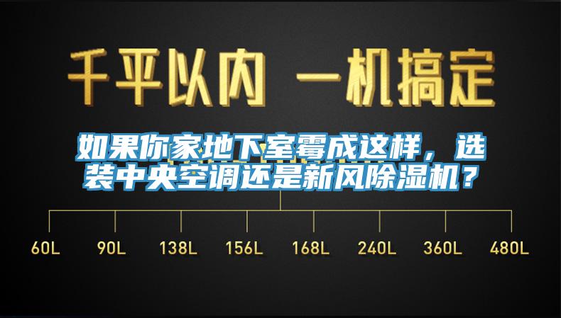 如果你家地下室霉成這樣，選裝中央空調還是新風(fēng)除濕機？