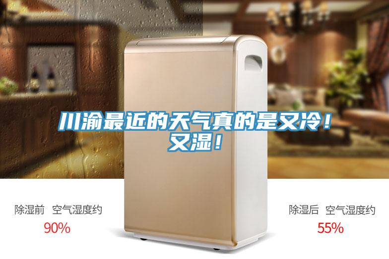 川渝最近的天氣真的是又冷！又濕！