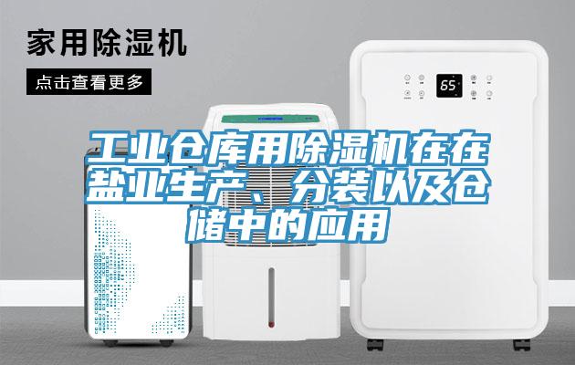 工業(yè)倉庫用除濕機在在鹽業(yè)生產(chǎn)、分裝以及倉儲中的應用
