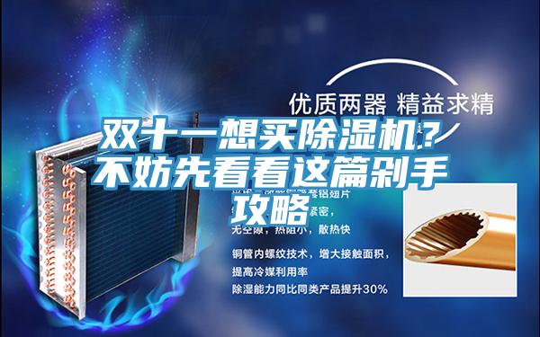 雙十一想買(mǎi)除濕機？不妨先看看這篇剁手攻略