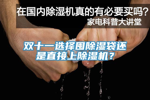 雙十一選擇囤除濕袋還是直接上除濕機？