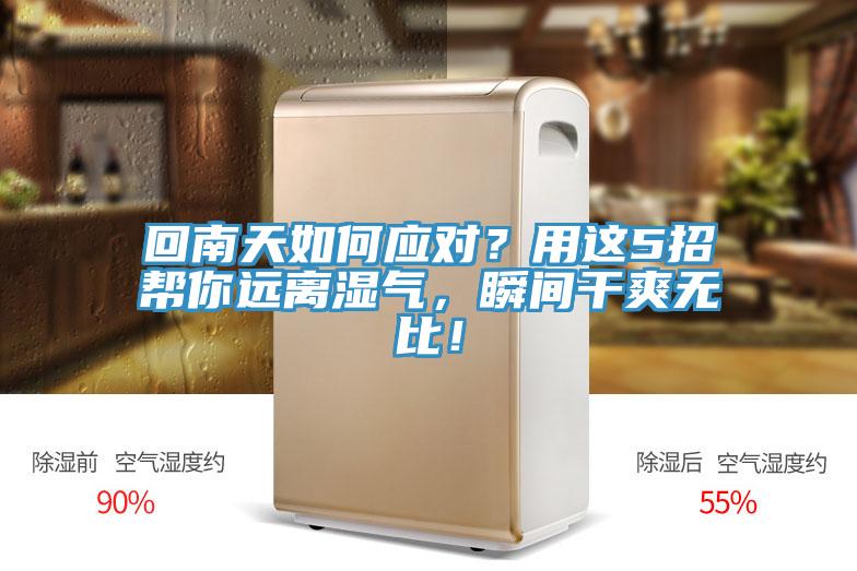回南天如何應對？用這5招幫你遠離濕氣，瞬間干爽無(wú)比！
