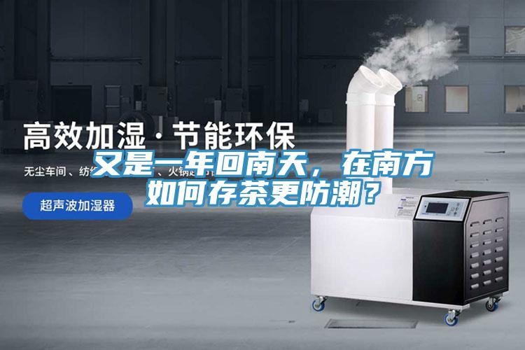 又是一年回南天，在南方如何存茶更防潮？