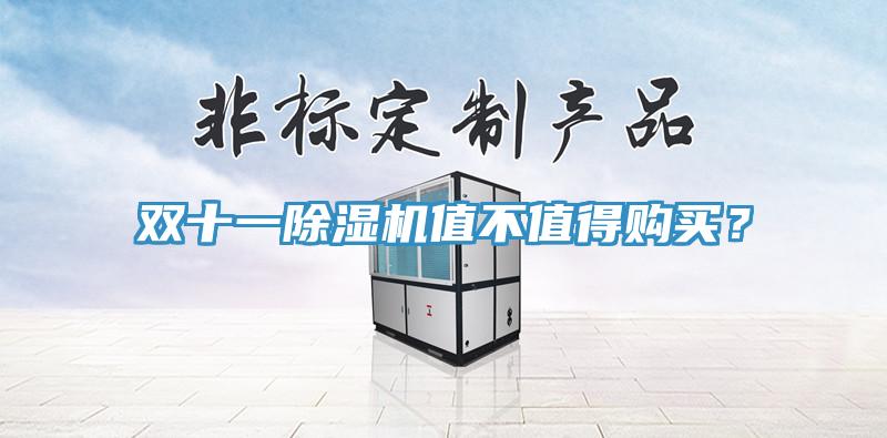 雙十一除濕機值不值得購買(mǎi)？
