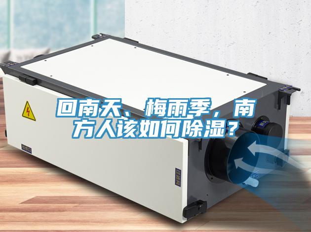回南天、梅雨季，南方人該如何除濕？