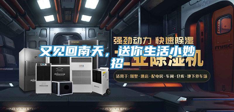 又見(jiàn)回南天，送你生活小妙招