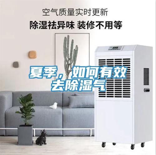 夏季，如何有效去除濕氣