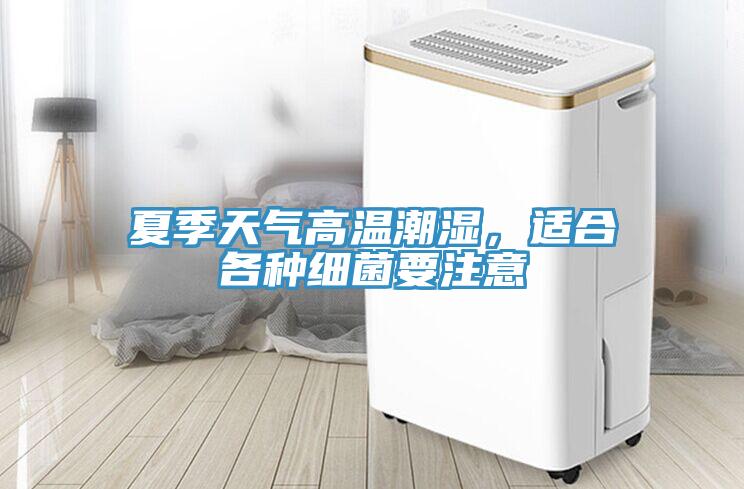 夏季天氣高溫潮濕，適合各種細菌要注意
