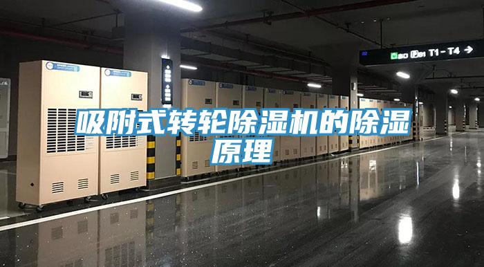 吸附式轉輪除濕機的除濕原理