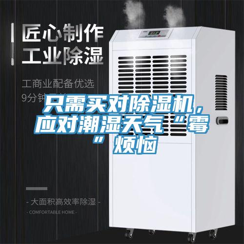 只需買(mǎi)對除濕機，應對潮濕天氣“霉”煩惱