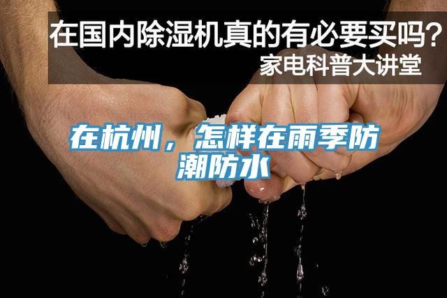 在杭州，怎樣在雨季防潮防水