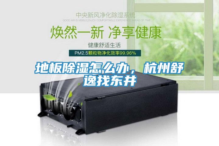地板除濕怎么辦，杭州舒逸找東井