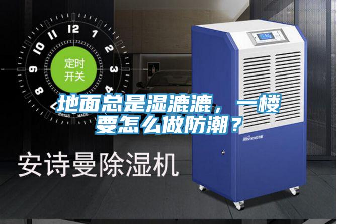 地面總是濕漉漉，一樓要怎么做防潮？