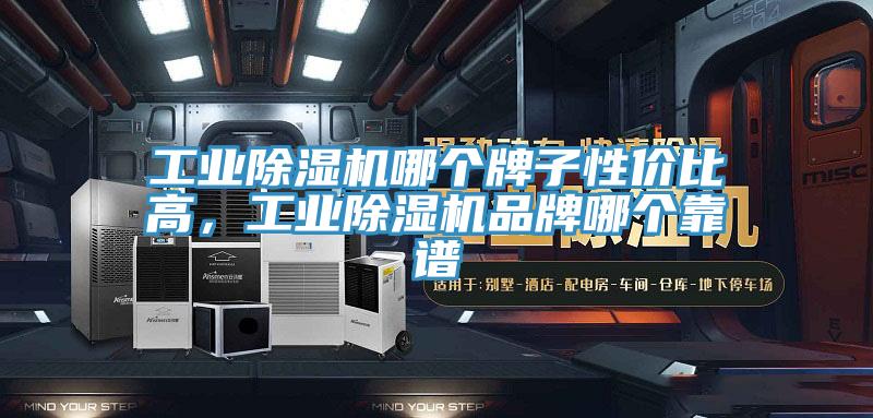 工業(yè)除濕機哪個(gè)牌子性?xún)r(jià)比高，工業(yè)除濕機品牌哪個(gè)靠譜