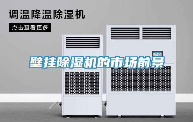 壁掛除濕機的市場(chǎng)前景