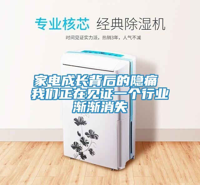 家電成長(cháng)背后的隱痛 我們正在見(jiàn)證一個(gè)行業(yè)漸漸消失