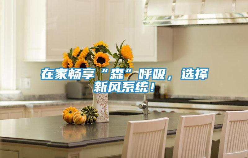 在家暢享“森”呼吸，選擇新風(fēng)系統！