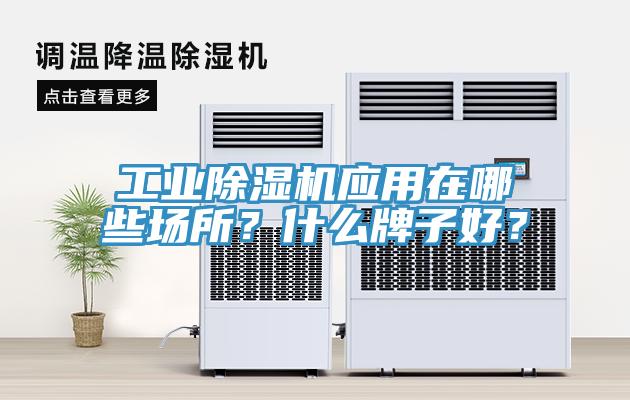 工業(yè)除濕機應用在哪些場(chǎng)所？什么牌子好？