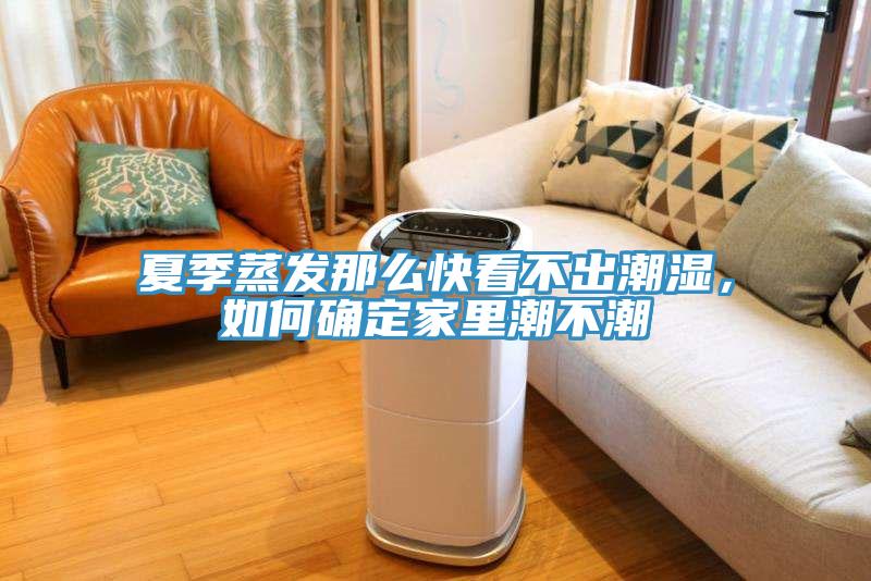 夏季蒸發(fā)那么快看不出潮濕，如何確定家里潮不潮